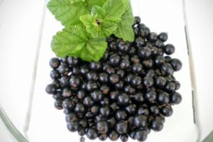 八朔 はっさく のまとめ 育て方 剪定や種まき と花言葉等15個のポイント 植物の育て方や豆知識をお伝えするサイト 八朔 はっさく のまとめ 育て方 剪定や種まき と花言葉等15個のポイント 植物の育て方や豆知識をお伝えするサイト